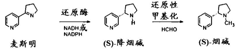 微信图片_20220325110838.png